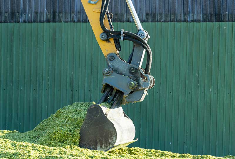 Groundworks & Foundations